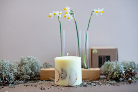 3. Large TL Candles soy wax candle with vanilla scent, adorned with orange and lime slices, shown in a lifestyle setting