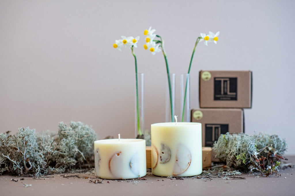 5. Pair of TL Candles soy wax candles with vanilla scent, decorated with orange and lime slices, in a lifestyle setting