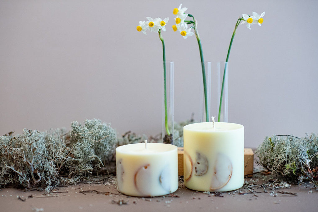 6. TL Candles soy wax candles in small and large sizes, with vanilla scent and natural decor, displayed in a lifestyle setting