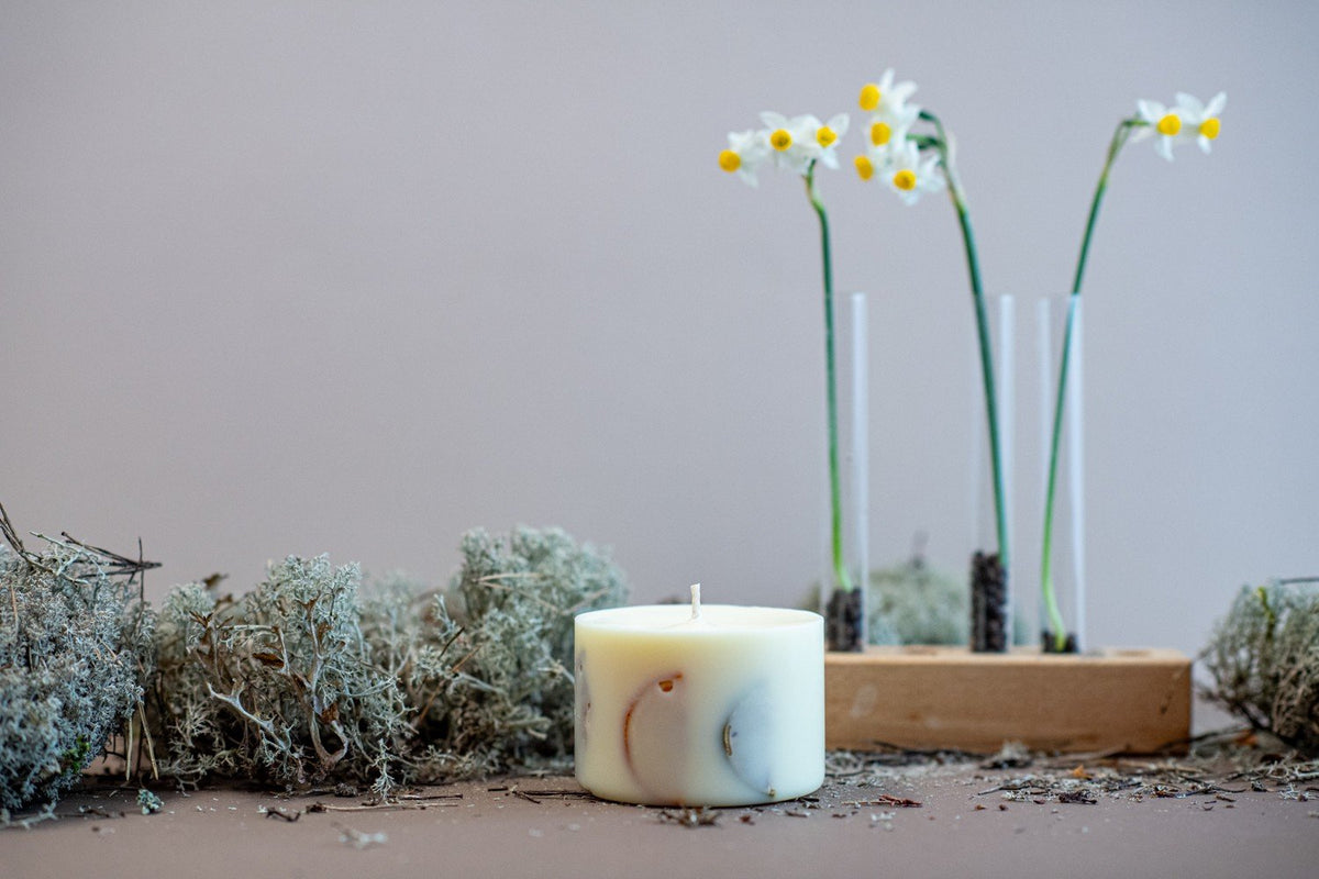 2. Small TL Candles soy wax candle with vanilla scent, featuring orange and lime slices, displayed in a natural setting