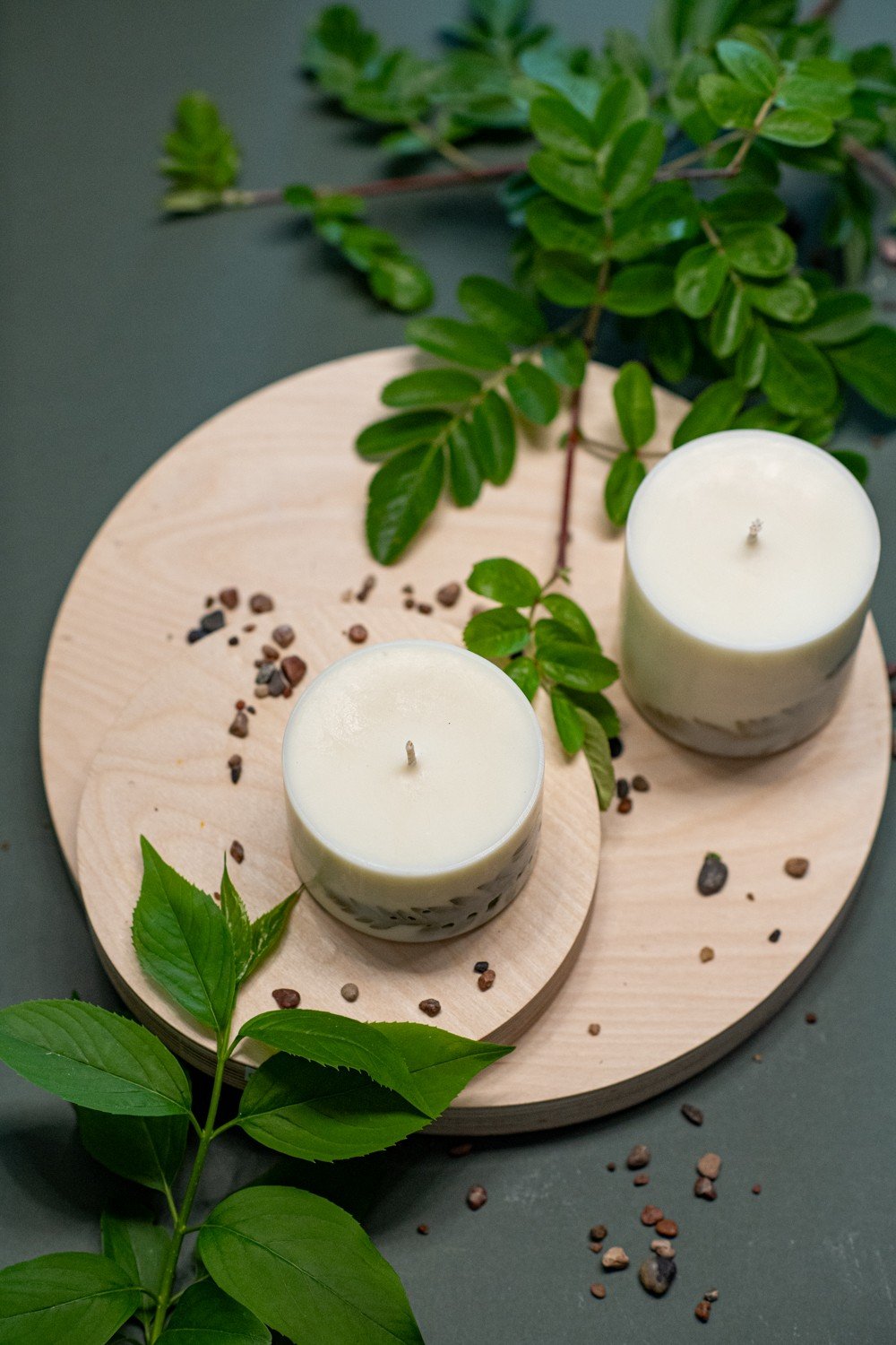 4. Top view of two hand-made soy wax candles with lemongrass scent by TL Candles, surrounded by natural elements