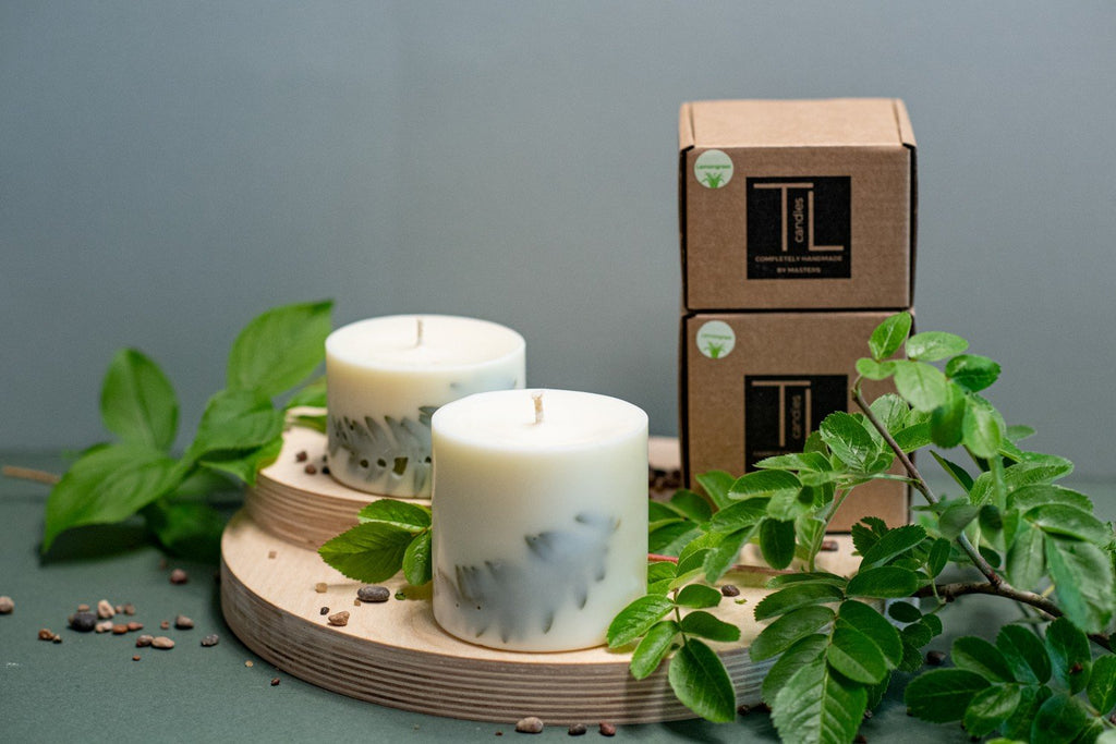 1. Hand-made soy wax candles with lemongrass scent by TL Candles, displayed with natural fern leaves and packaging in a lifestyle setting