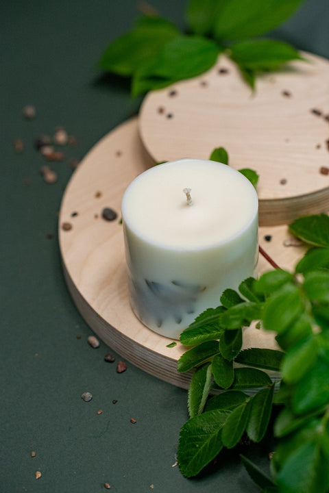5. Hand-made soy wax candle with lemongrass scent by TL Candles, displayed with greenery in a lifestyle setting