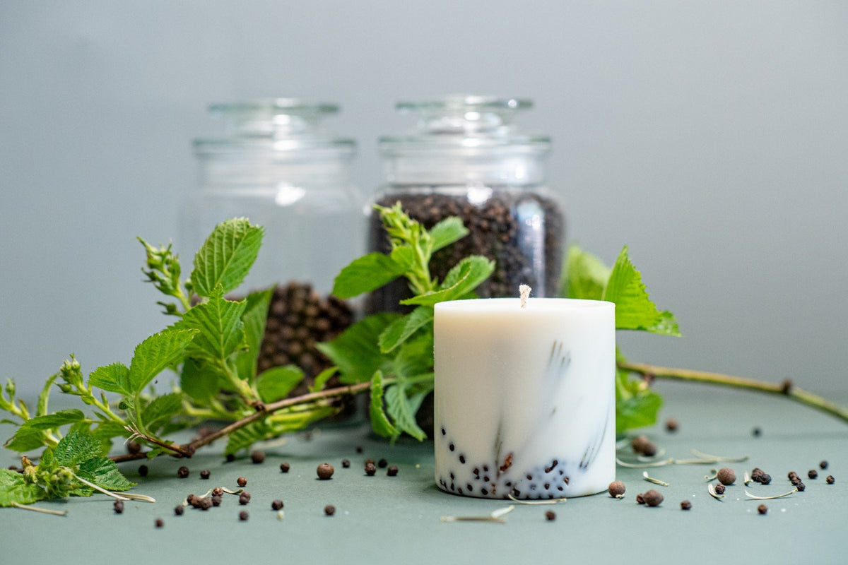 6. TL Candles hand-made soy wax candle with juniper scent, shown with natural elements and glass jars