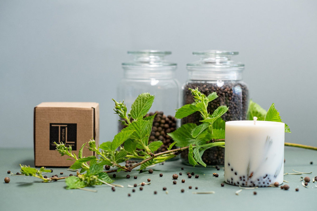 8. TL Candles hand-made soy wax candle with juniper scent, shown with packaging and natural elements