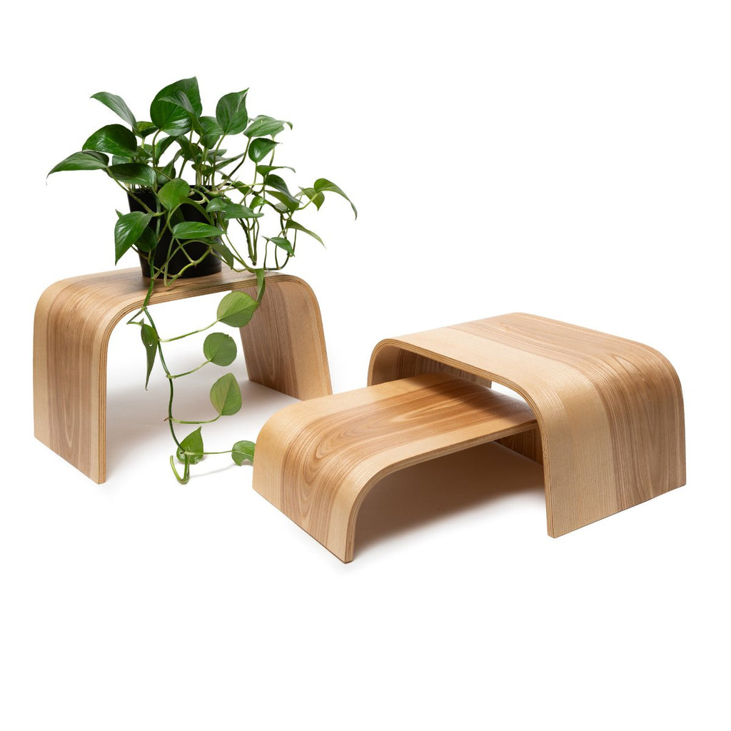 1. Set of two wooden floor plant stands with a green plant on a white background, showcasing natural wood grain and curved design
