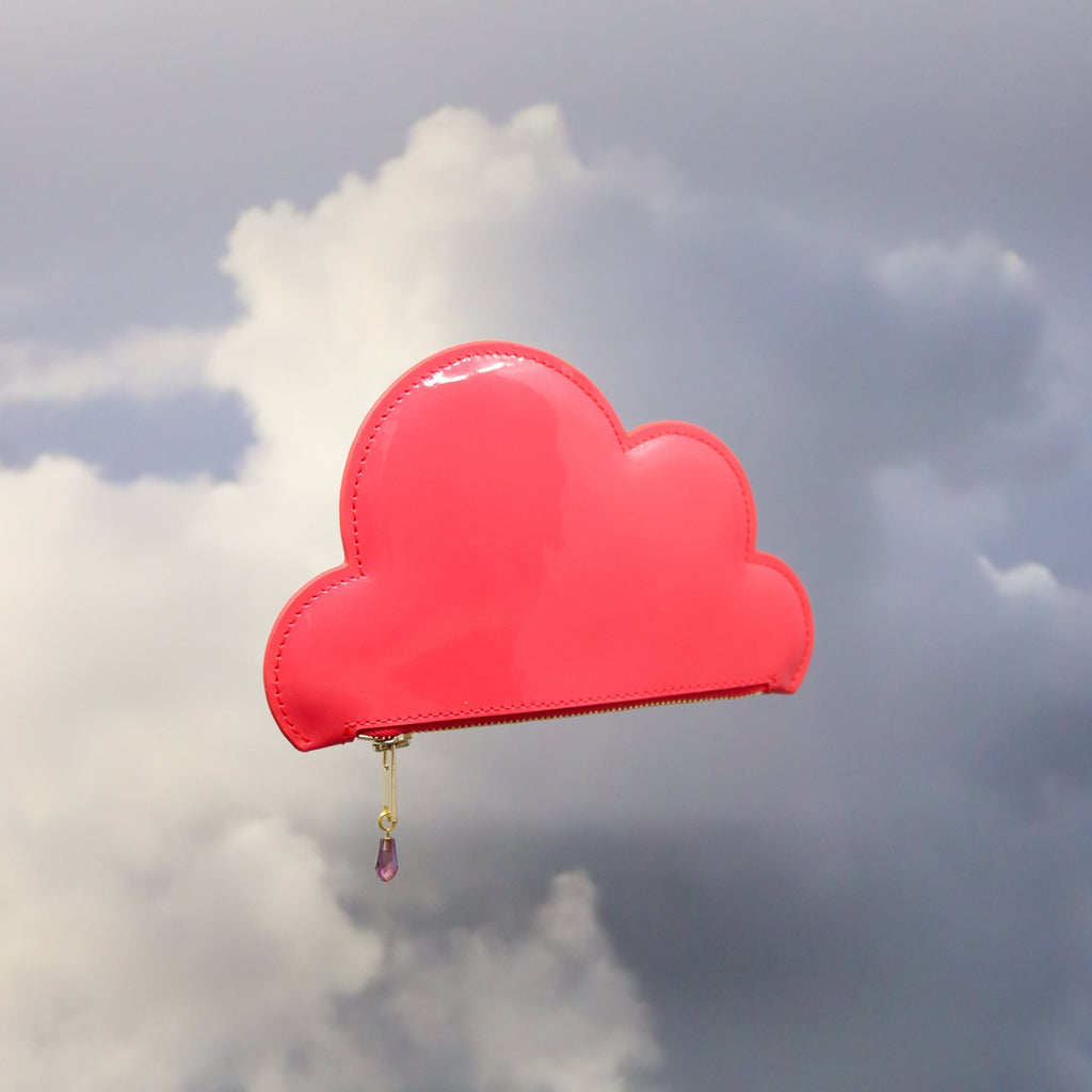 6. Tairi Roosve pink leather cloud purse with Swarovski crystal zip against a cloudy backdrop