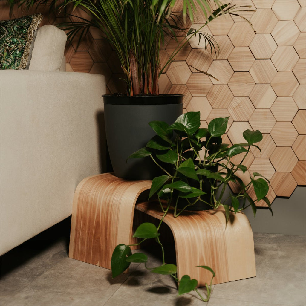 1. Wooden plant stand with green plants in a modern living room setting, featuring hexagonal wall pattern and sofa