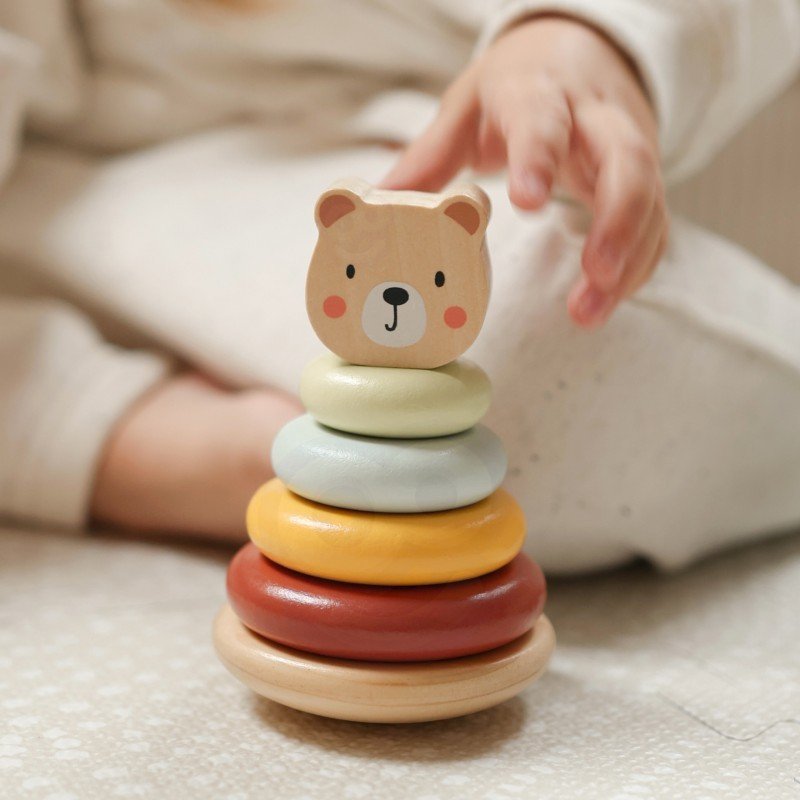 2. Close-up of pyramid bear from Woopie Let's Go Green 3in1 toy set with colorful stackable discs