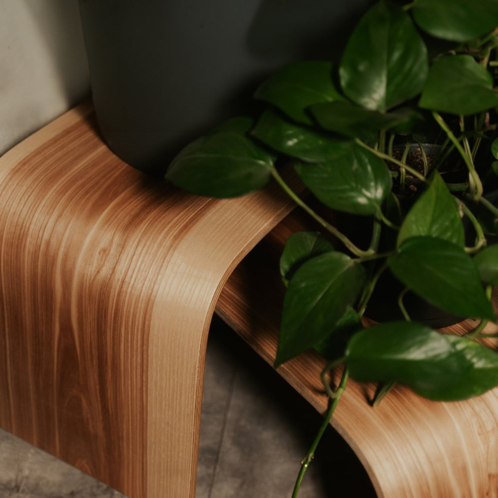 4. Close-up of wooden plant stand with green leaves, showing natural wood texture and curved design