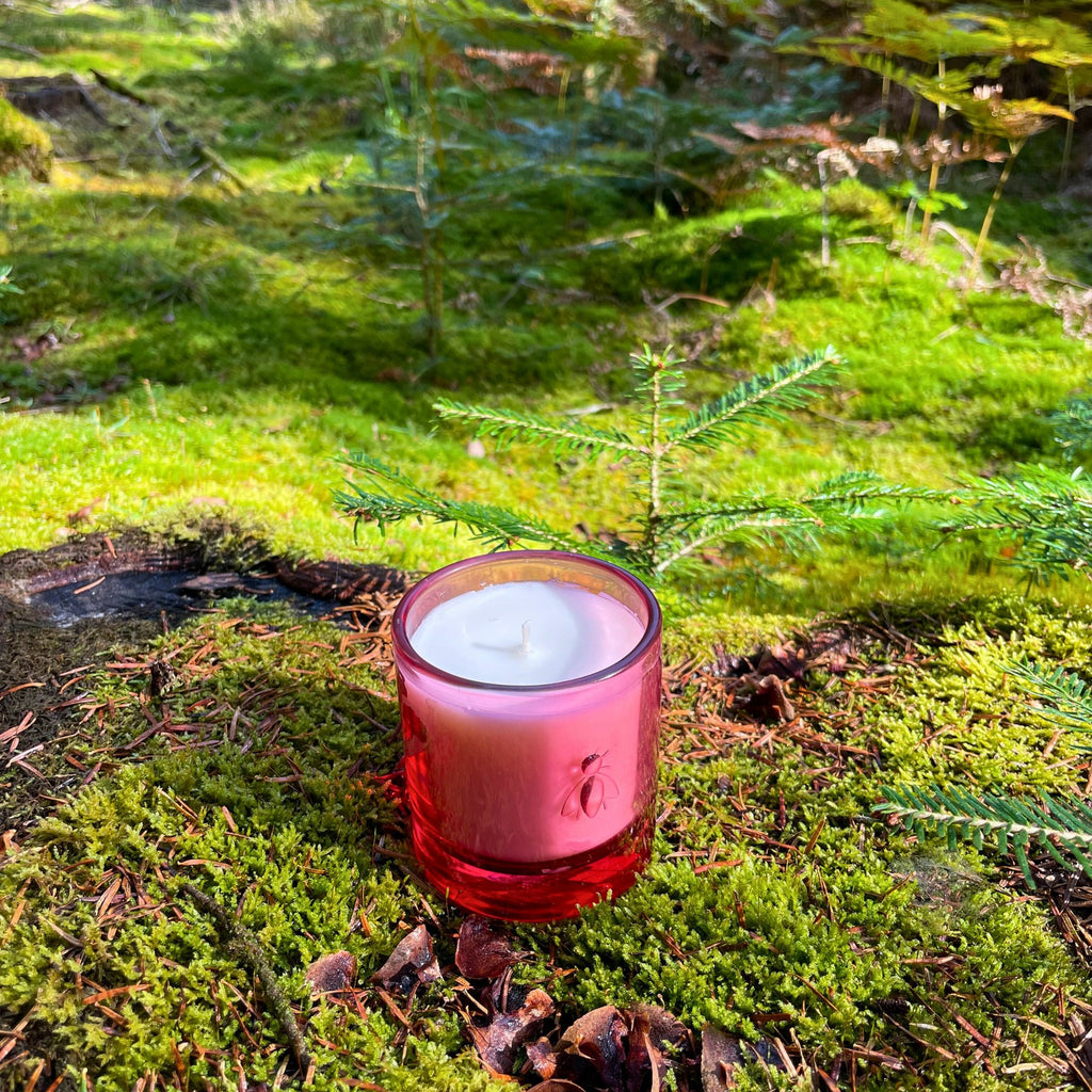 2. Cherry Blossom Bee Candle by La Rochère in pink glass with bee design, placed on lush green moss in a natural setting
