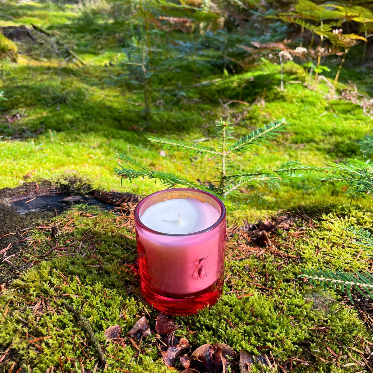 2. Cherry Blossom Bee Candle by La Rochère in pink glass with bee design, placed on lush green moss in a natural setting