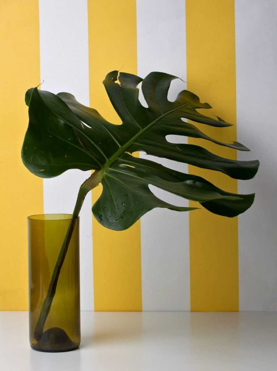 1. Yellow and white striped eco wallpaper by Miurio with a green leaf in a brown glass vase