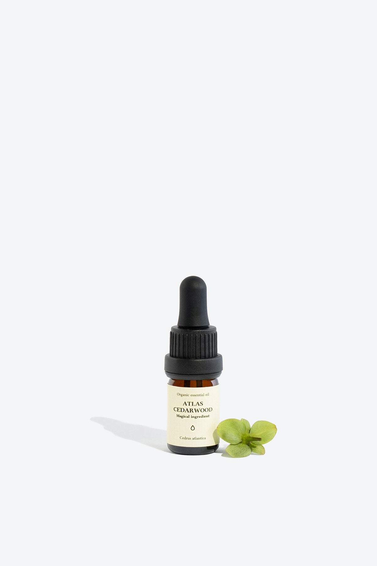 2. Smells Like Spells ATLAS CEDARWOOD essential oil in 5 ml glass bottle with pipette, shown with green leaves