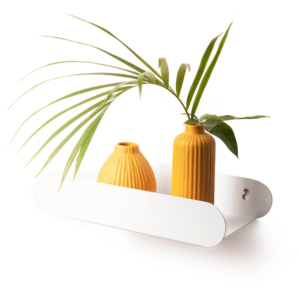 1. White floating wall shelf with two yellow vases and green plant, minimalist design by Ewart Woods