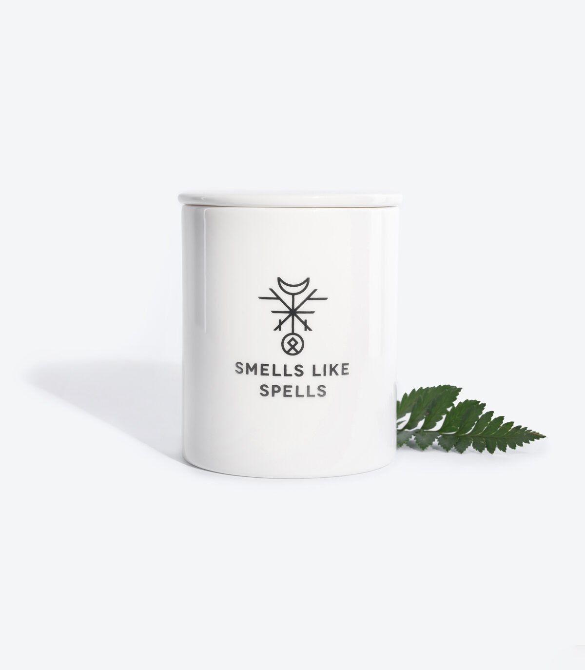 3. Scented Candle TEMPERANCE by Smells Like Spells with fern leaf accent, studio setting