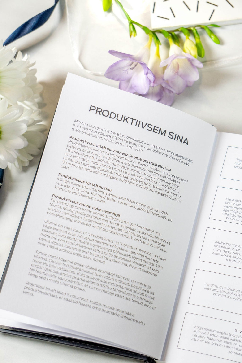 12. Close-up of productivity tips in Get (sh)it done #Produktiivsuspäevik planner, with flowers