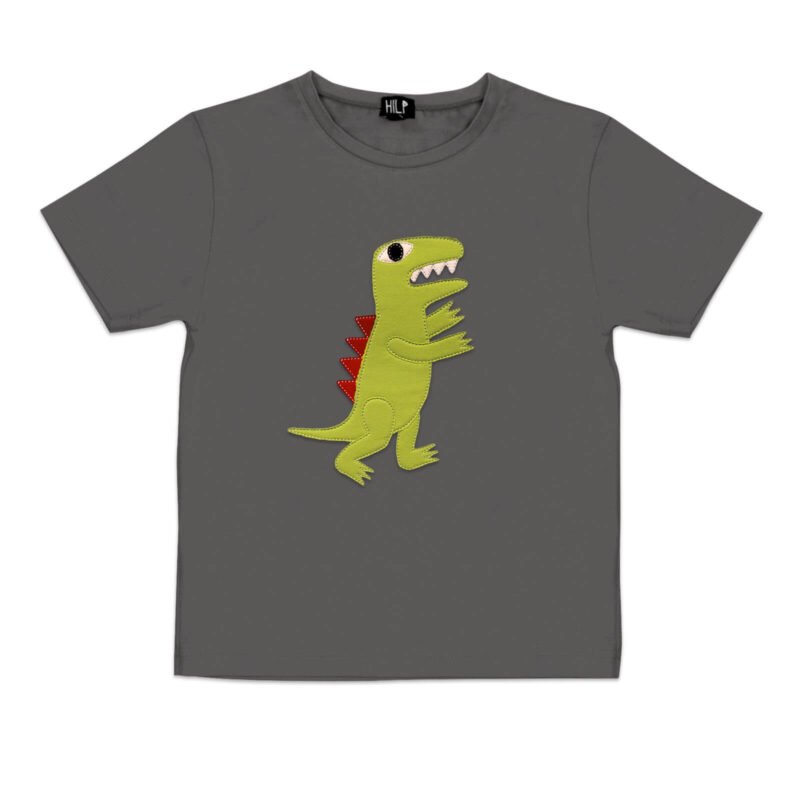 3. Kids grey dinosaur t-shirt by HILP showcasing fun dinosaur print, studio image