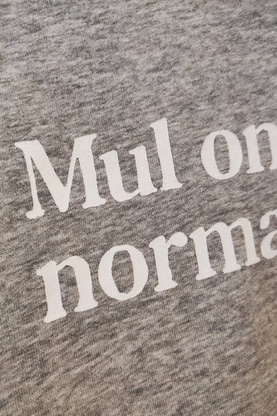 2. Close-up of 'Mul on praegu normaalne' text on grey Heavy Mental sweatshirt fabric