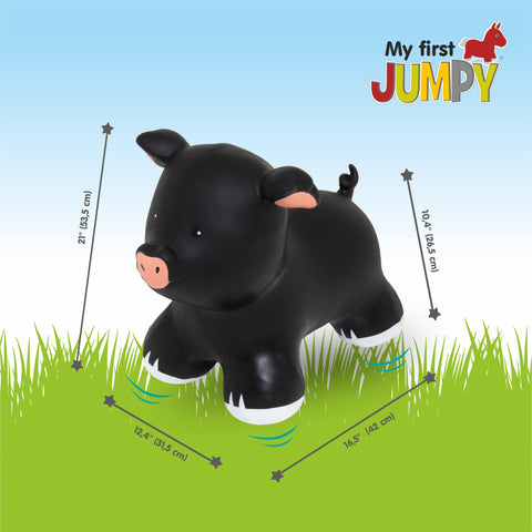 2. Black pig-shaped hopper toy with dimensions on grass background and My First JUMPY logo