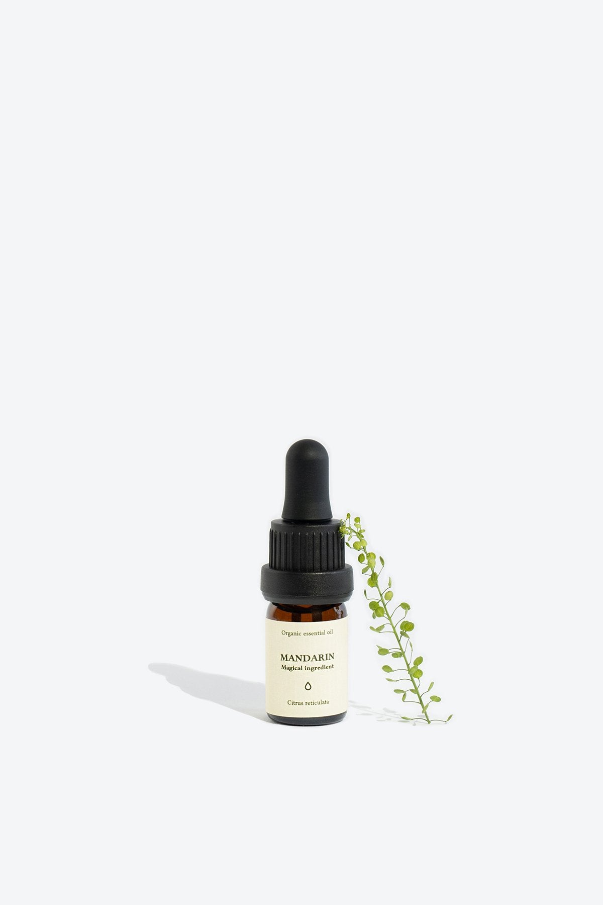 1. Smells Like Spells Mandarin essential oil in 5 ml glass bottle with pipette, styled with greenery, studio setting