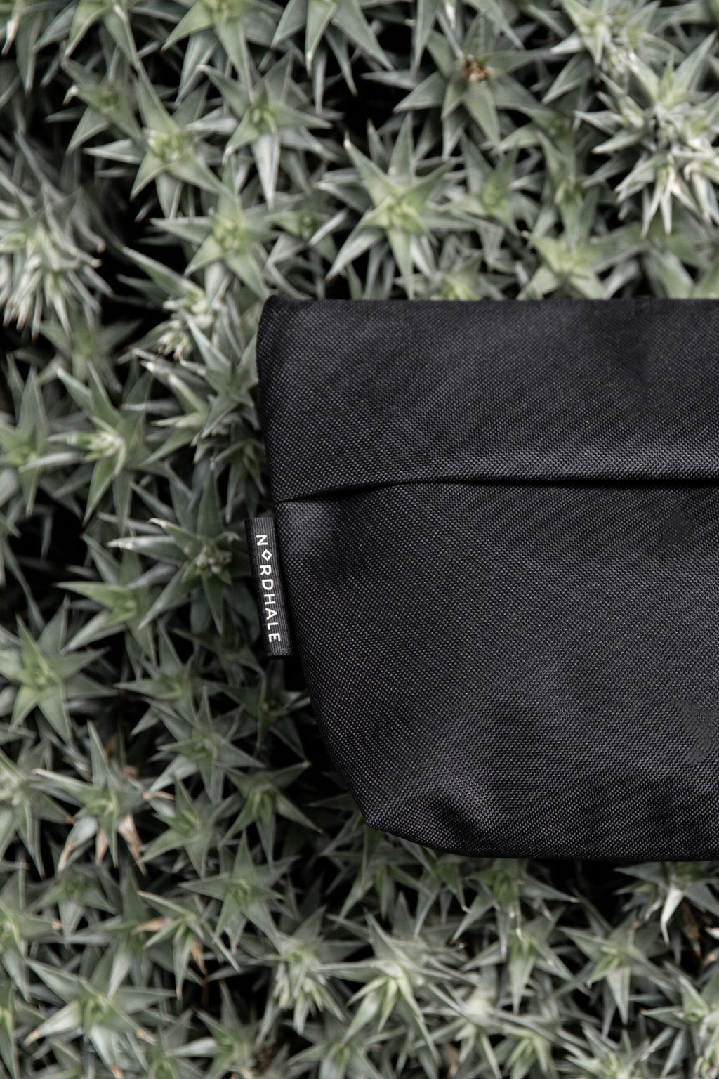 8. Nordhale NES Toiletry Bag in black placed on spiky plant, highlighting durable material