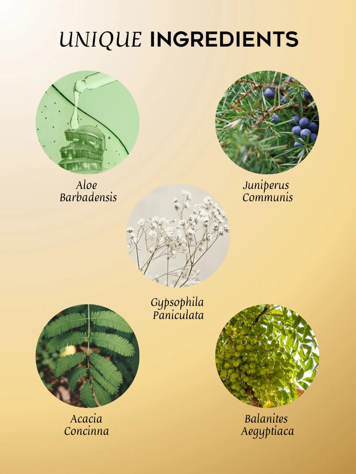 5. Unique ingredients of Magrada Organic Cosmetics Bubble Hand Wash Gel, featuring botanical extracts