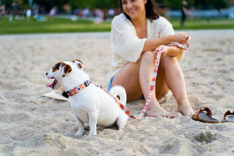1. Woman sitting on beach with dog wearing boho collar and leash, showing colorful patterns