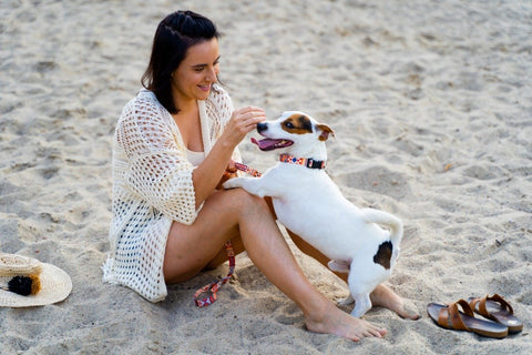 1. Woman playing with dog wearing boho collar and leash on sandy beach