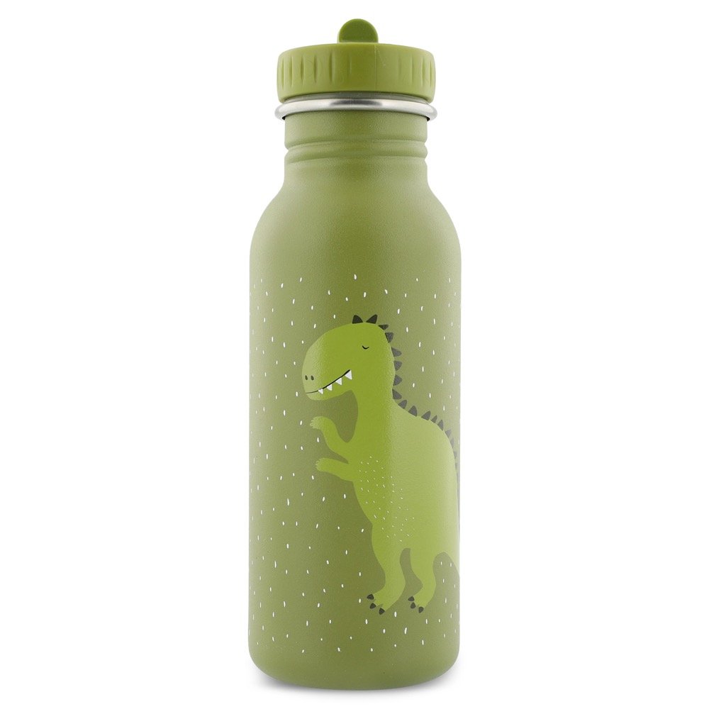 2. Green stainless steel bottle with dinosaur print, shown from front on white background