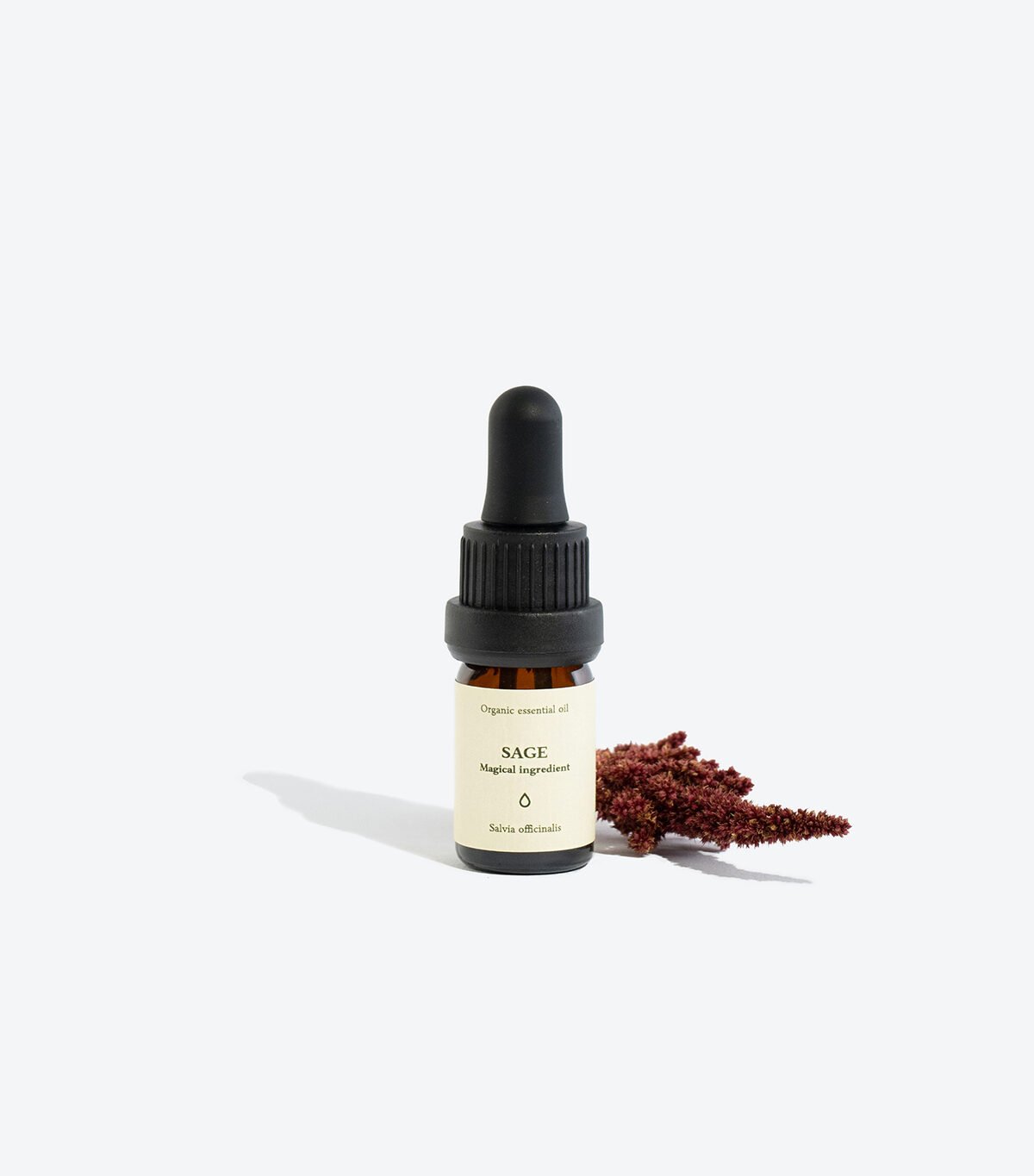 2. Smells Like Spells SAGE Essential Oil with dried plant accent, studio setting