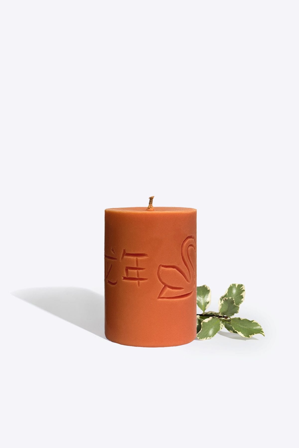 2. Smells Like Spells Candle of the Year 2024 with engraved symbols, styled with greenery in studio