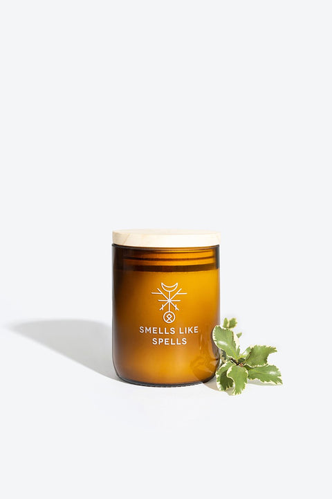 2. Smells Like Spells DELLINGR candle in amber glass jar with wooden lid and green leaves, studio setting