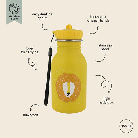 2. Yellow stainless steel bottle with lion face design and features labeled, including easy drinking spout and loop for carrying