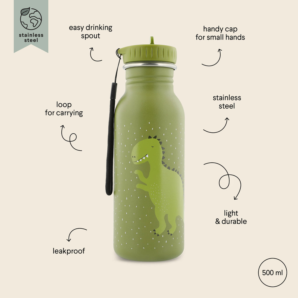 3. Green stainless steel bottle with dinosaur print, labeled features including leakproof design, easy drinking spout, and carrying loop, 500 ml capacity