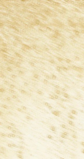 3. Close-up of golden champagne bubbles, representing fragrance notes