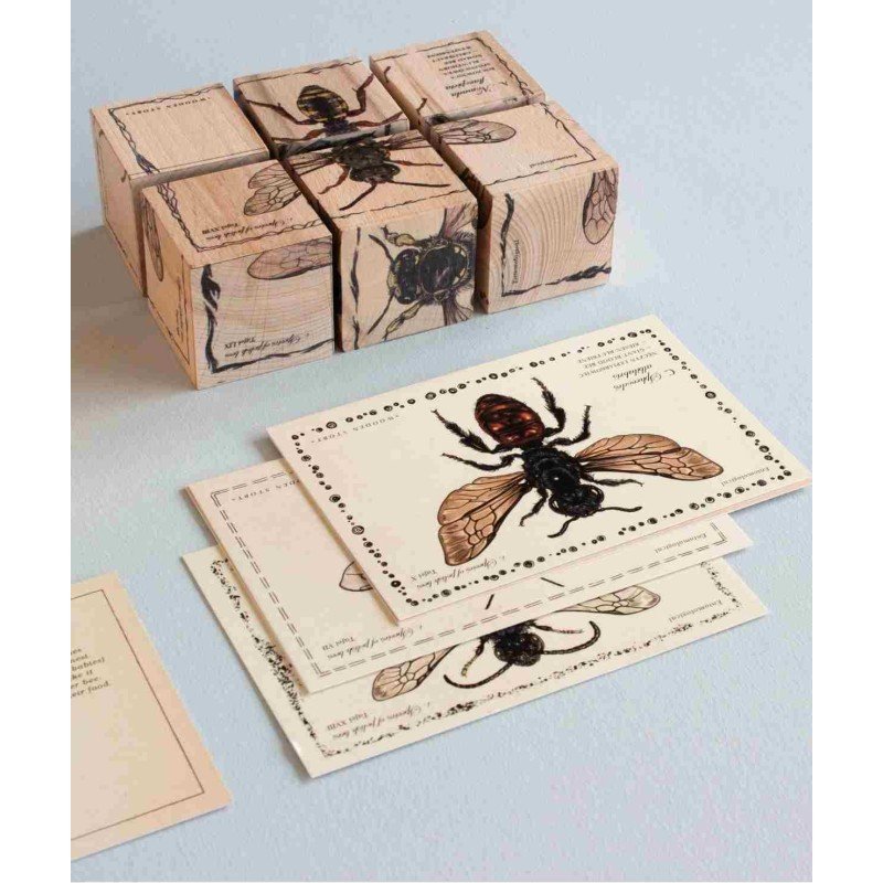 2. Wooden blocks arranged to form a bee illustration with educational cards displaying bee species and information