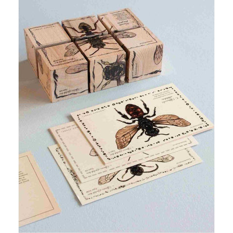 2. Wooden blocks arranged to form a bee illustration with educational cards displaying bee species and information