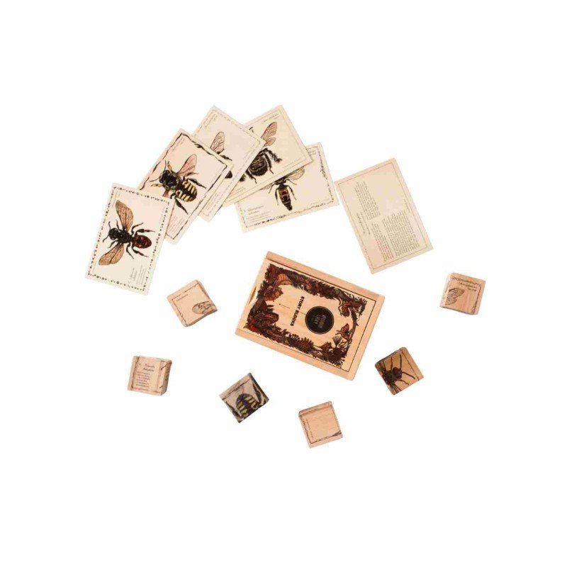 1. Assorted wooden blocks and cards featuring different bee species illustrations and facts, promoting bee conservation and education