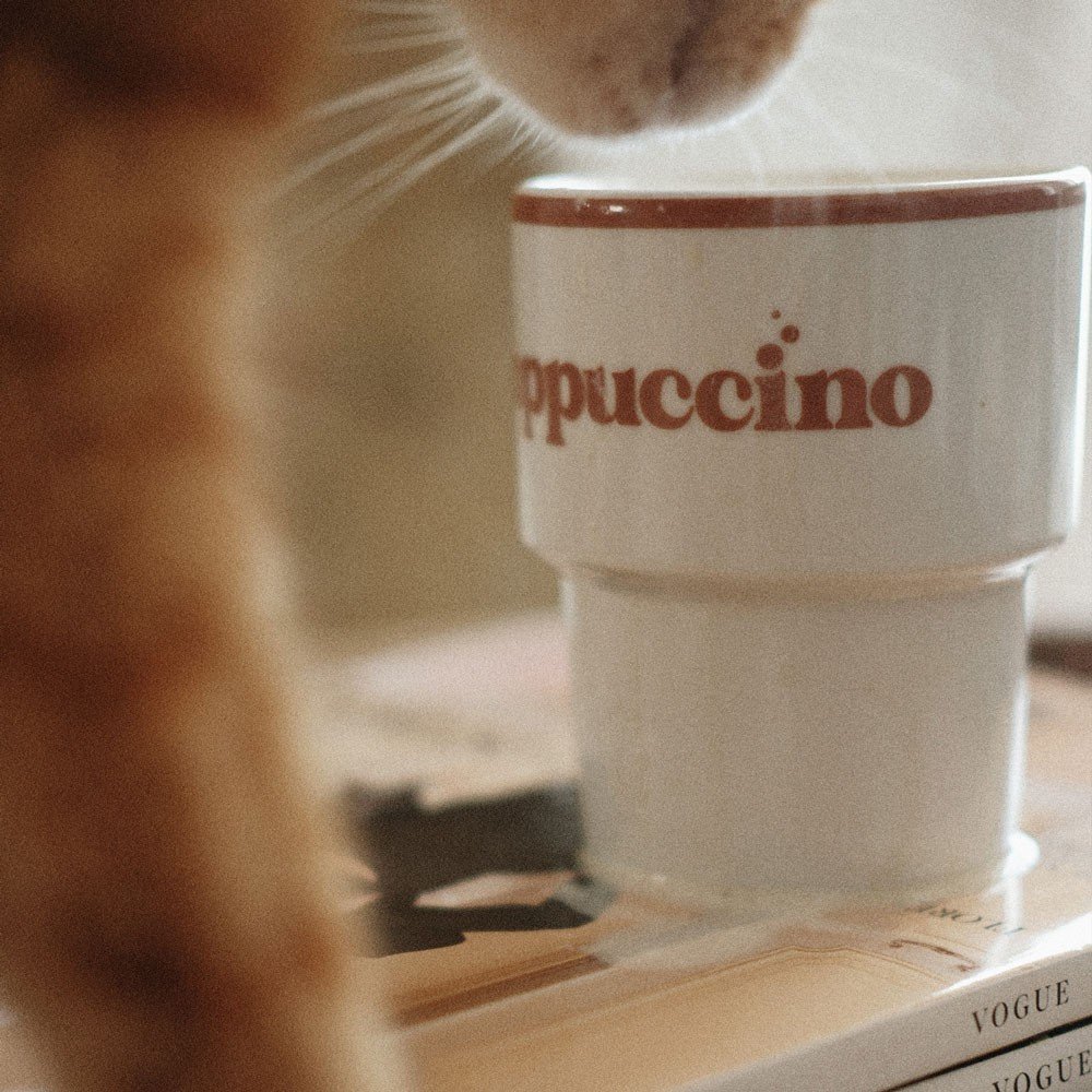 7. Close-up of Terra Mamma ceramic cappuccino mug with cat and magazines