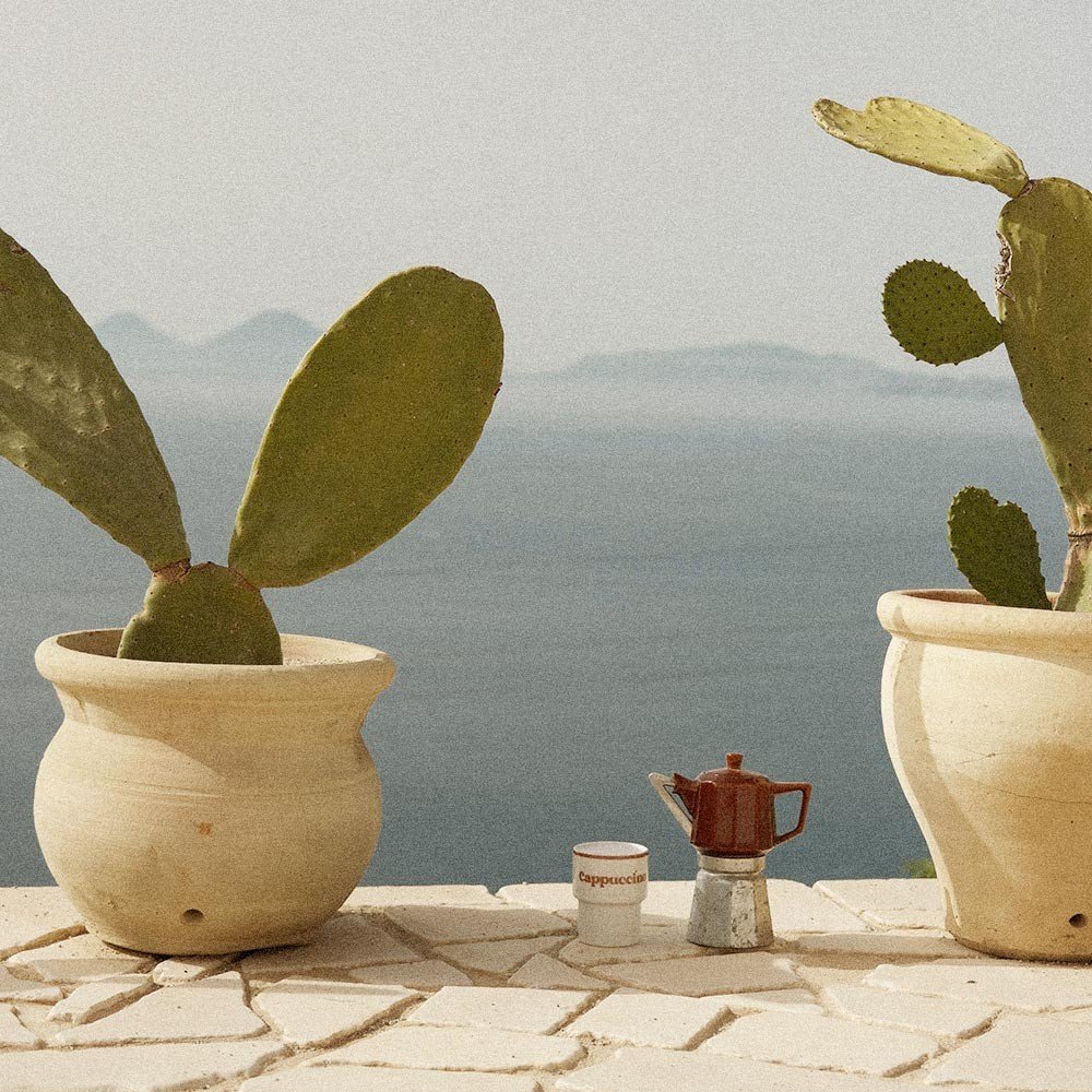 3. Terra Mamma ceramic cappuccino mug with moka pot between potted cacti overlooking sea