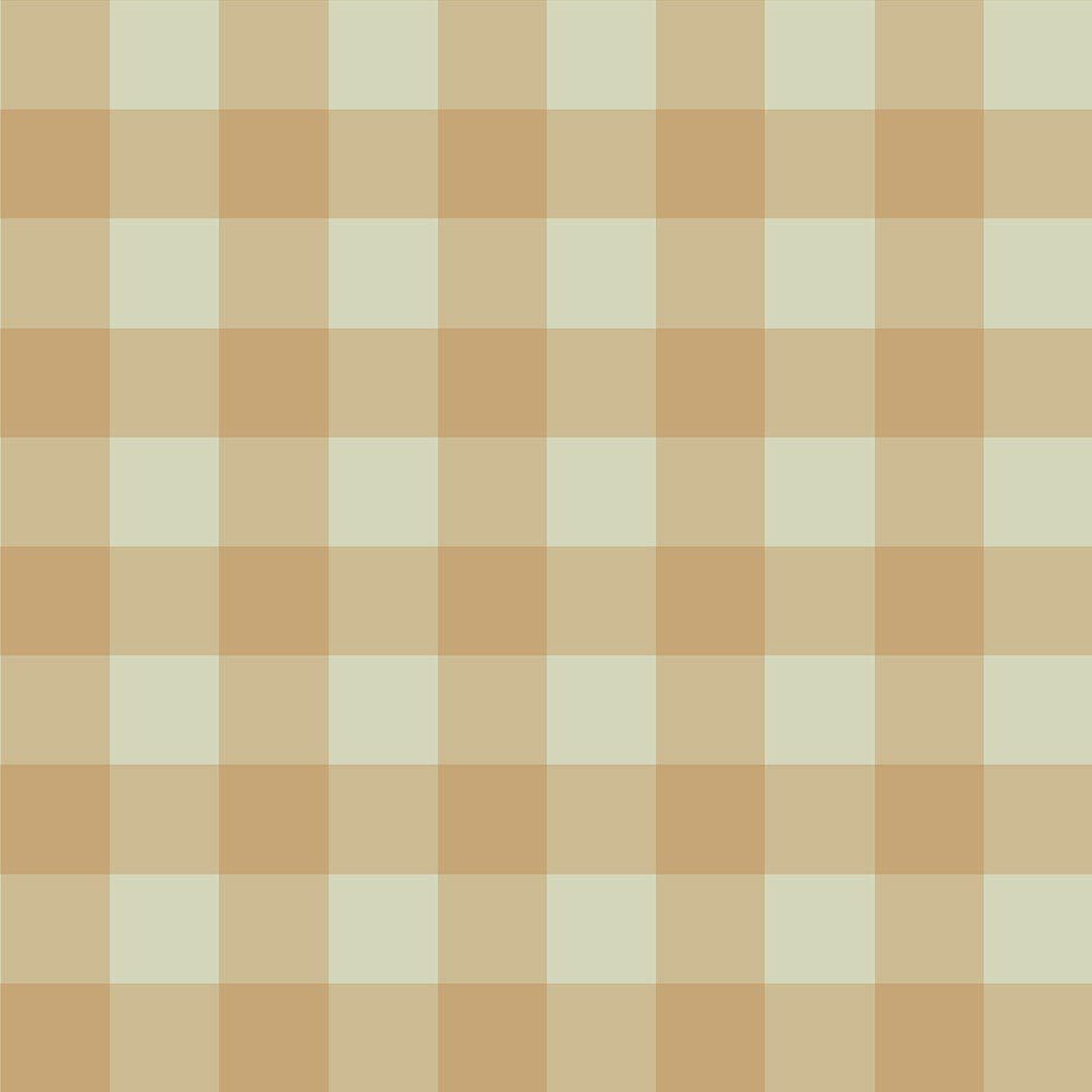 2. Studio shot of check brown and green wallpaper pattern with 5x5 cm grid squares