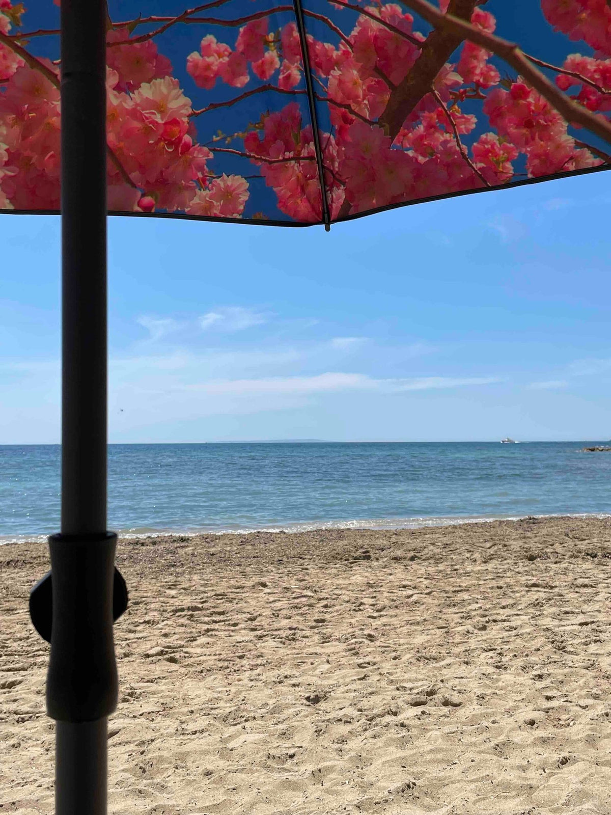 3. Close-up of cherry beach and terrace parasol with red floral pattern against a sandy beach and ocean view