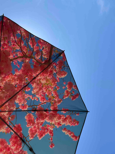 5. Close-up view of cherry beach and terrace parasol with red floral design against blue sky