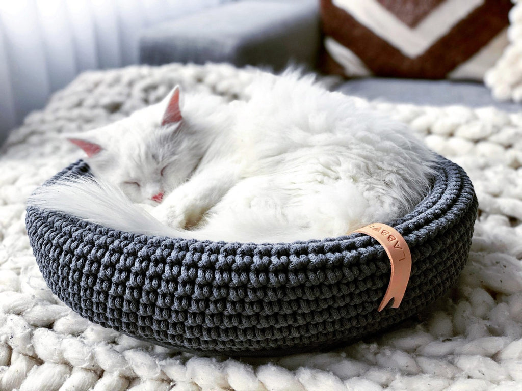 1. White cat sleeping in anthracite Labbvenn Coco pet bed on a knitted blanket in a cozy living room setting