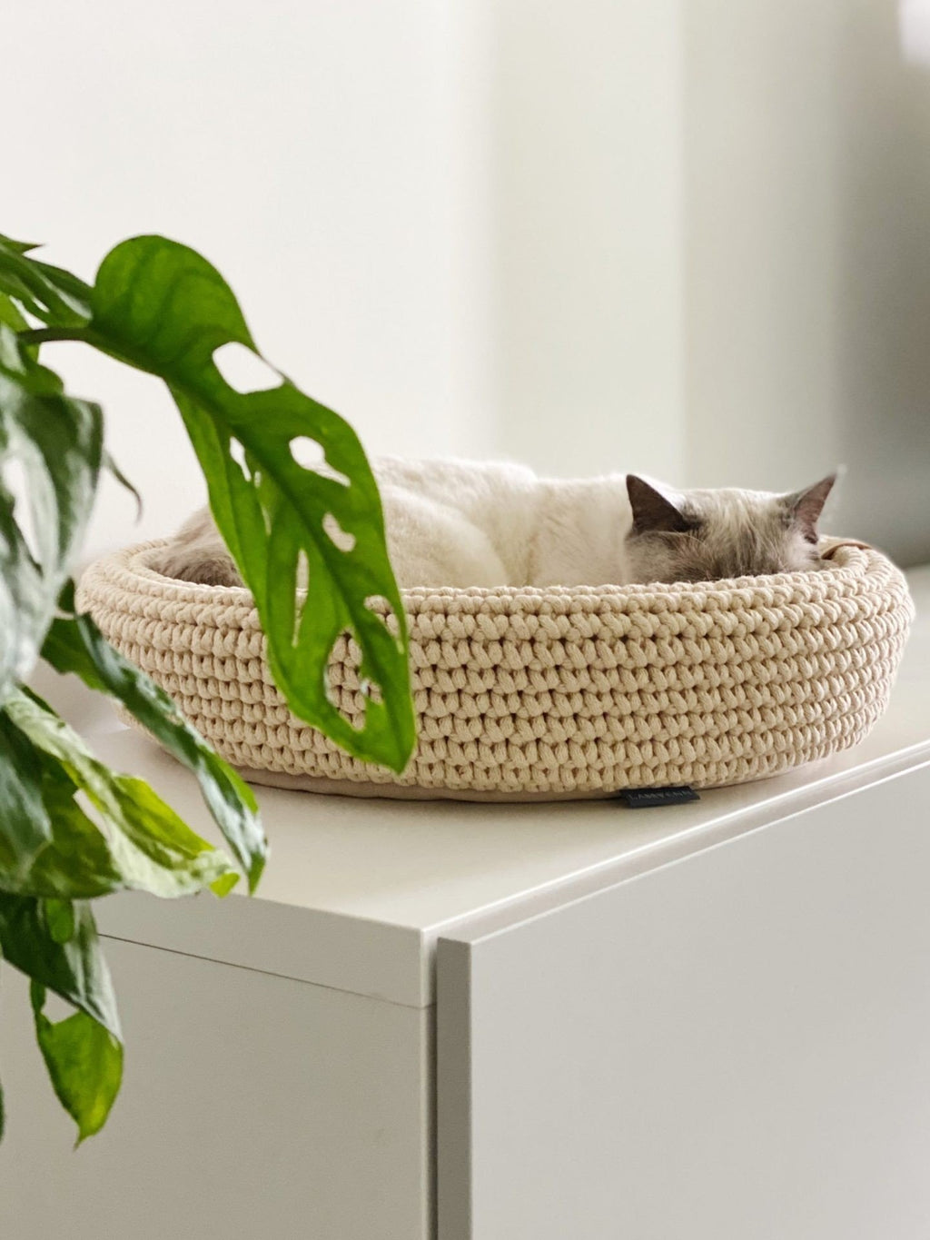 2. Cat sleeping in beige Labbvenn Coco pet bed on a white surface next to a green plant, highlighting the bed's woven texture