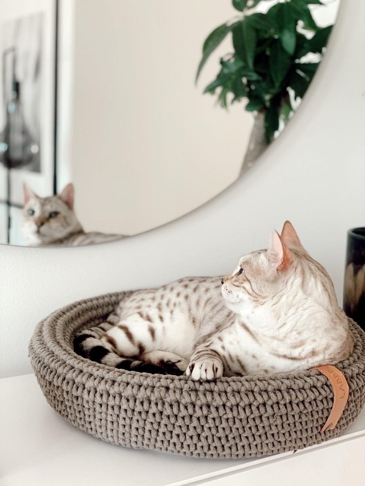 1. Cat lounging in light brown hand-woven pet bed on white surface with mirror reflection in background
