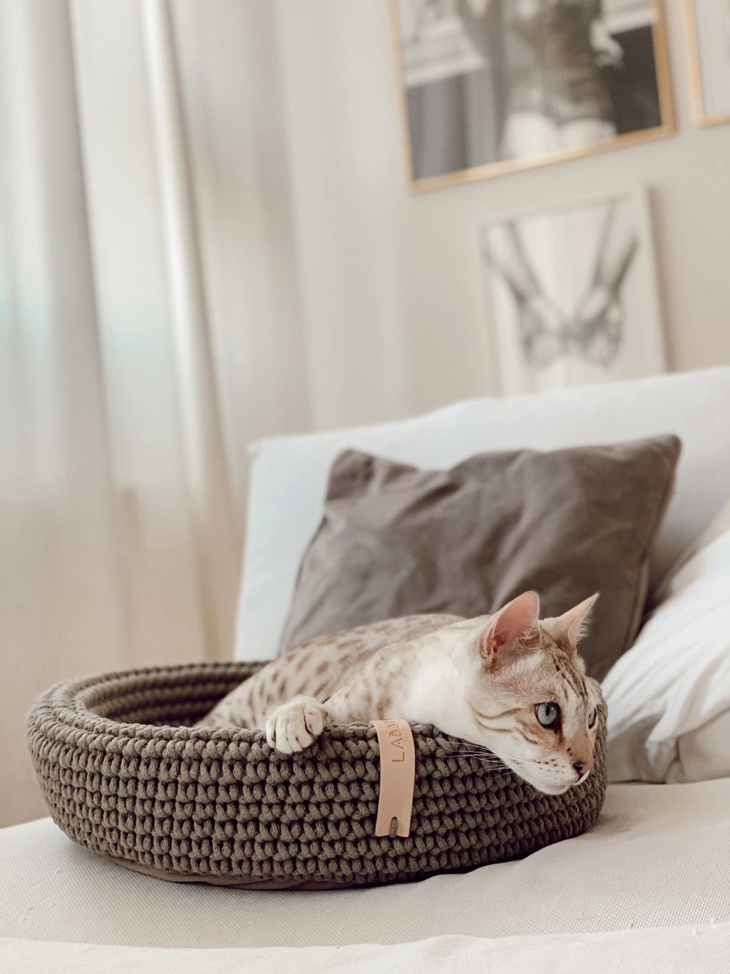 1. Cat resting in light brown hand-woven pet bed on a bed with pillows and framed art in background
