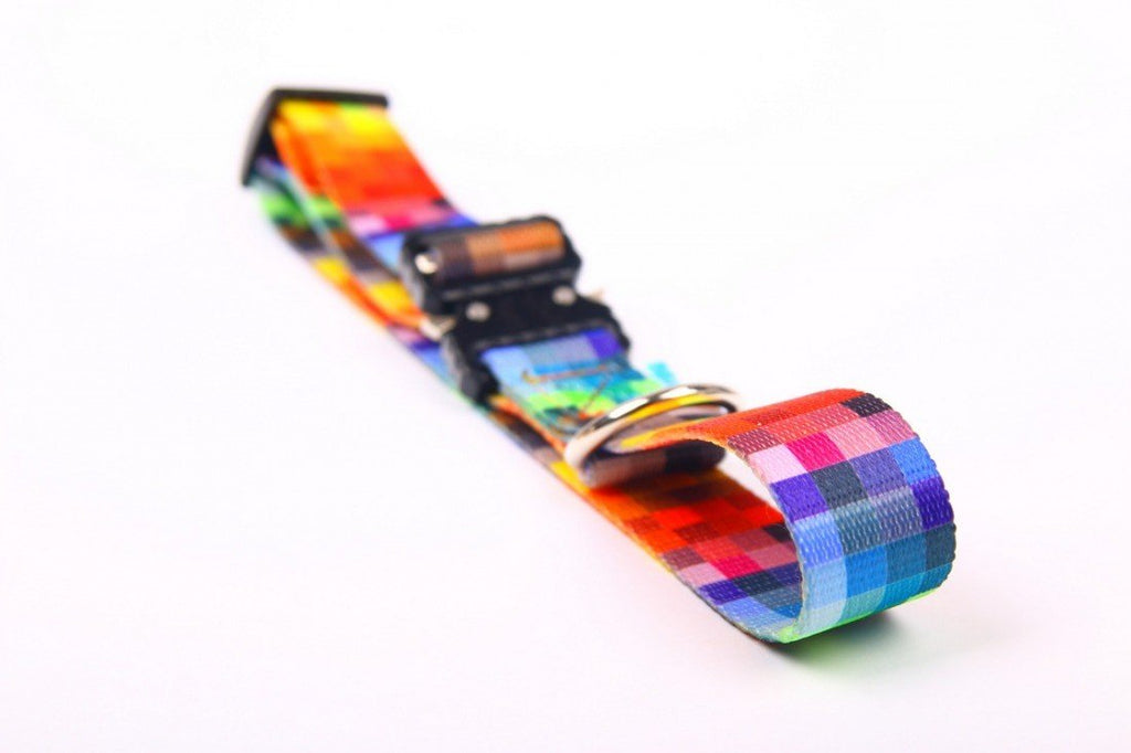 3. Close-up of Matteo dog collar with colorful pixel design and metal buckle on white background