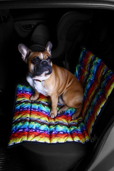1. Dog sitting in car wearing Matteo pixel collar on colorful mat